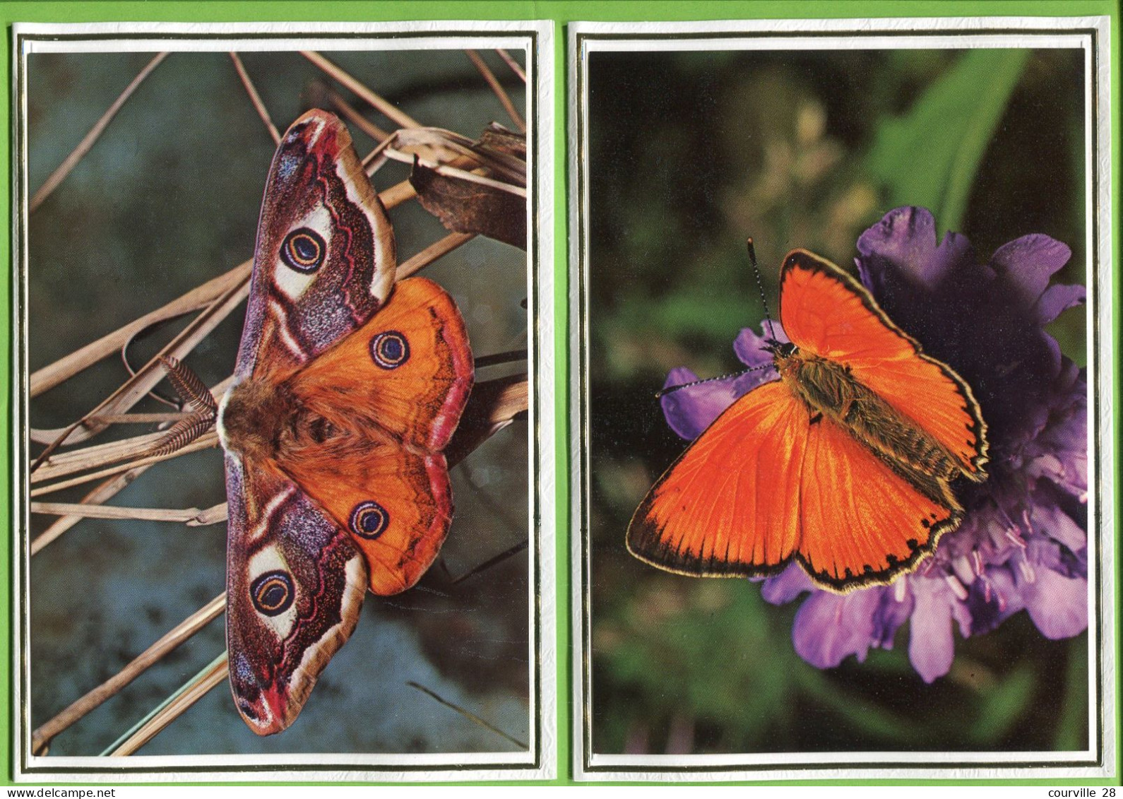 PAPILLON PAPILLONS LOT De 2 Format 11,50 X 16 Cm * Belle Image Glacée Sur Support épais Double Pour Faire Carte Postale - Papillons