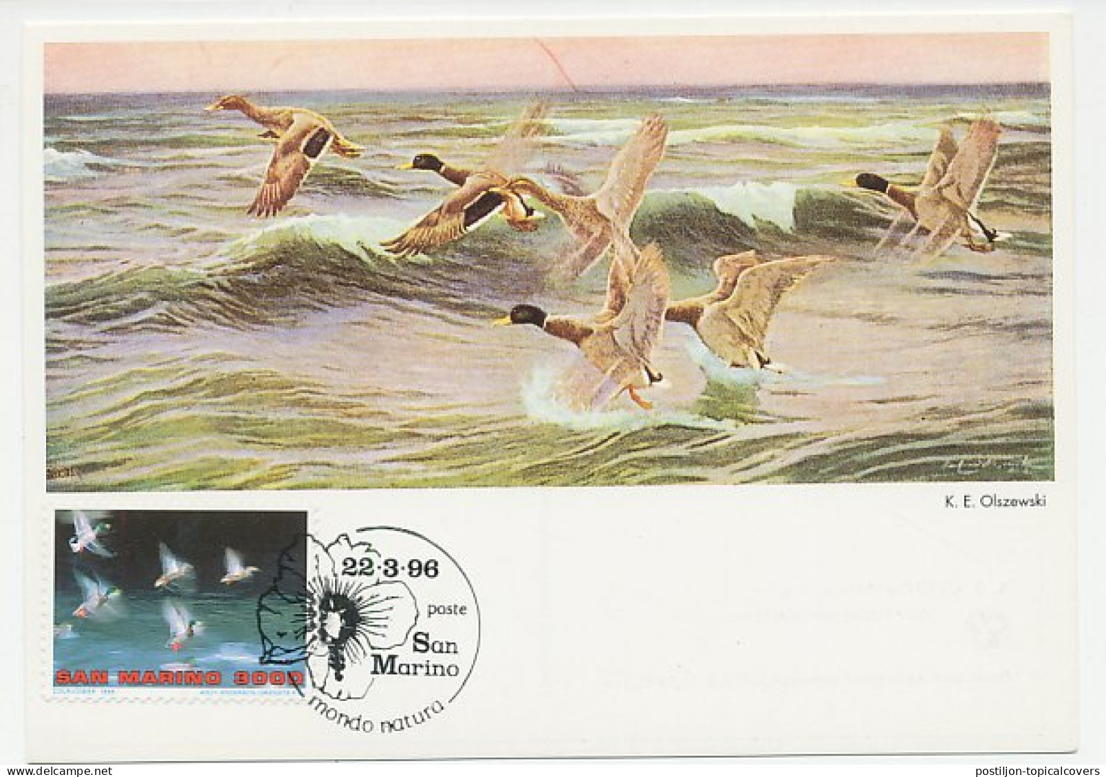 Maximum Card San Marino 1996 Bird - Duck - Other & Unclassified