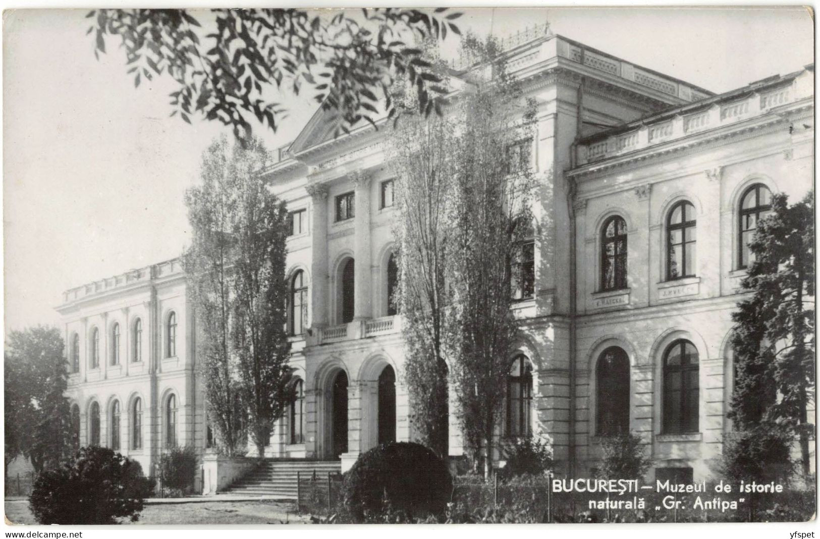 București - ”Gr. Antipa” Natural History Museum - Roemenië