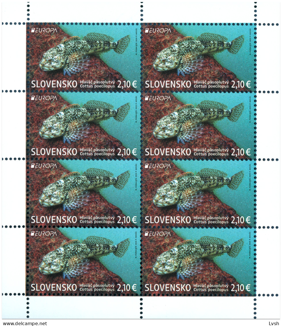 Slovakia.2024.Europa CEPT.Underwater Fauna And Flora.Alpine Bullhead (Cottus Poecilopus).m/s ** . - Blocks & Sheetlets