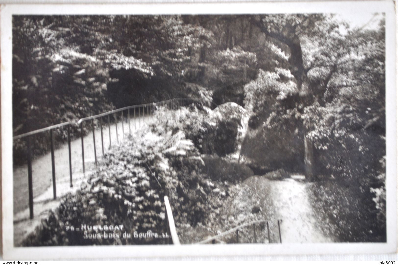 29 - HUELGOAT - Sous Bois Du Gouffre - Huelgoat