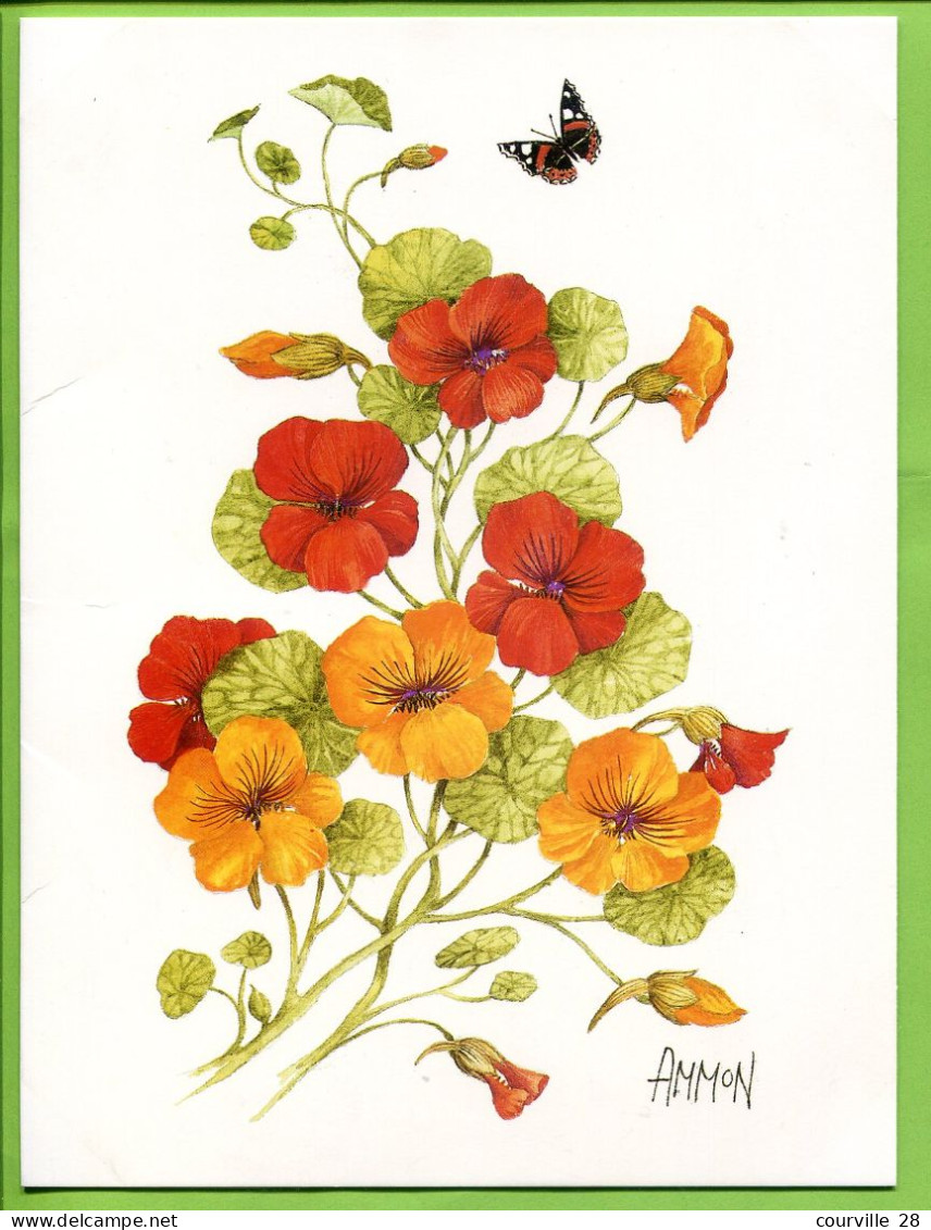 LOT 9 Cartes Doubles 15 X 20 Cm * FLEURS Diverses Toutes Avec PAPILLON Signées AMMON Illustrateur * Publicatiions Quay - Flowers