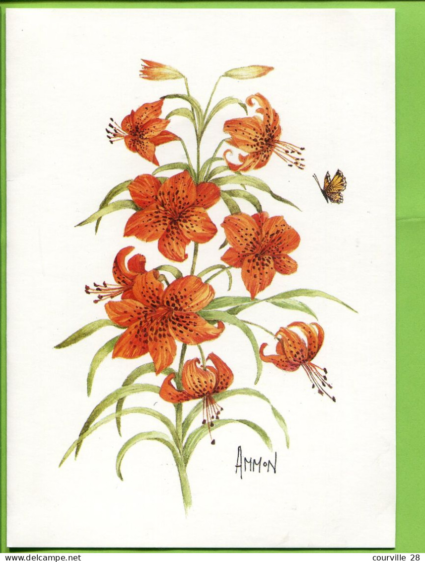 LOT 9 Cartes Doubles 15 X 20 Cm * FLEURS Diverses Toutes Avec PAPILLON Signées AMMON Illustrateur * Publicatiions Quay - Blumen