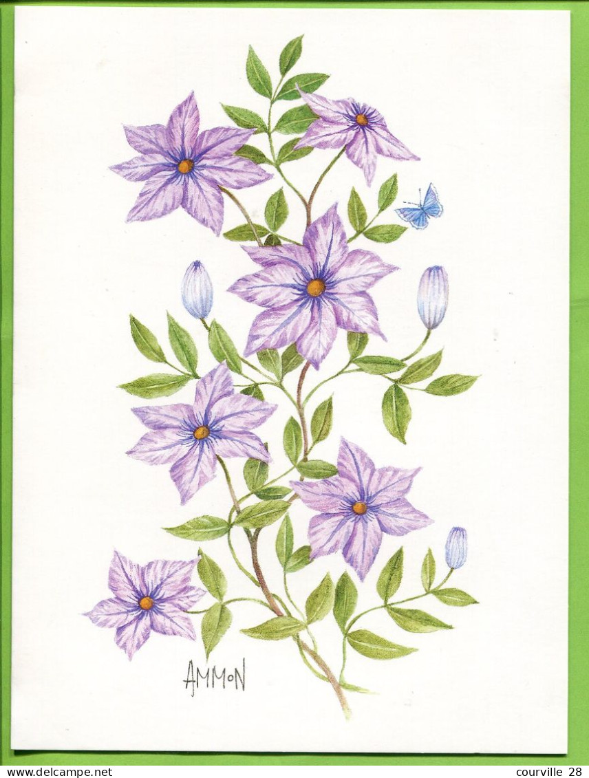 LOT 9 Cartes doubles 15 x 20 cm * FLEURS Diverses Toutes avec PAPILLON Signées AMMON Illustrateur * Publicatiions Quay