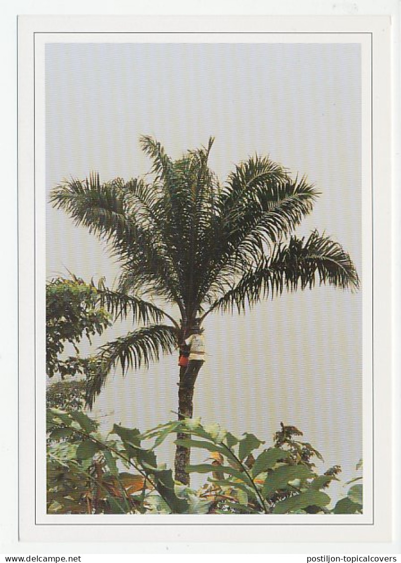 Postal Stationery Gabonese 1998 Palm Tree - Harvesting Of Palm Wine - Alberi
