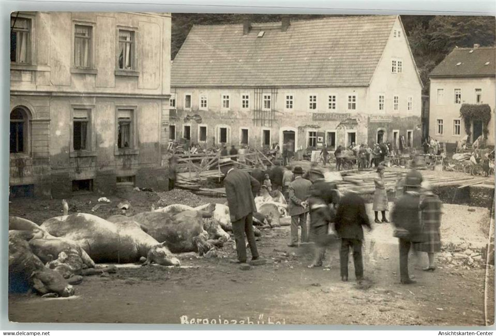 13506305 - Berggiesshuebel - Bad Gottleuba-Berggiesshübel