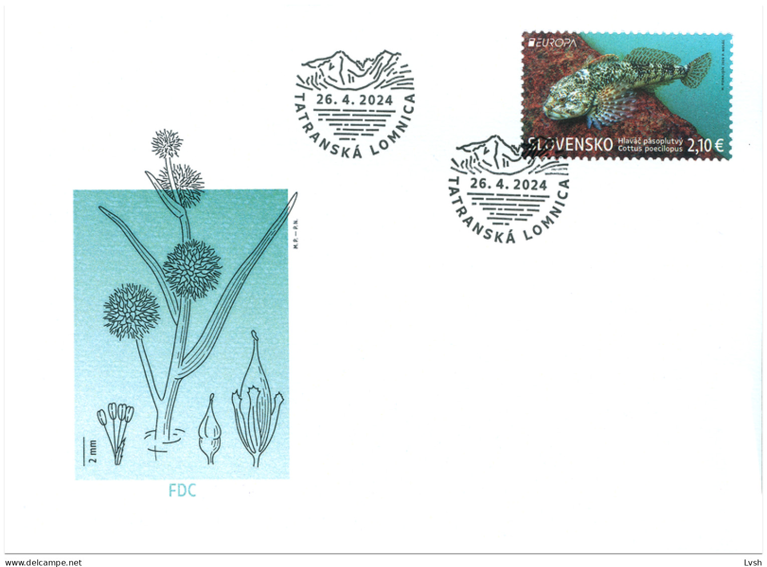 Slovakia.2024.Europa CEPT.Underwater Fauna And Flora.Alpine Bullhead (Cottus Poecilopus).FDC . - 2024