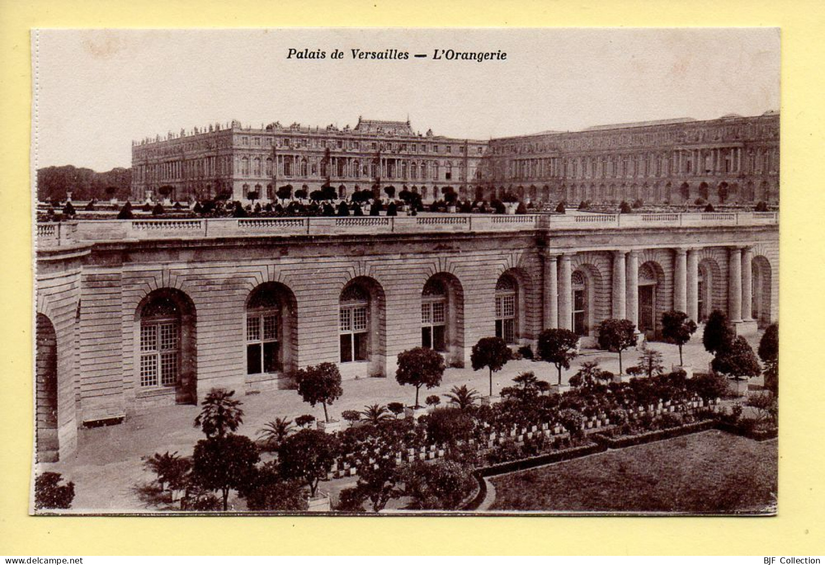 78. Palais De VERSAILLES – L'Orangerie (voir Scan Recto/verso) - Versailles (Château)