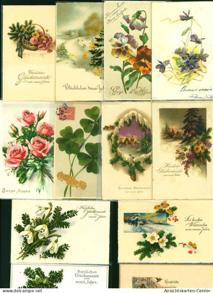 40164905 - Blumen, Pflanzen-Glueckwuensche Lot Mit  19 AK, 1903-1936; Gute Erhaltung, Groesstenteils Gelaufen - Nouvel An