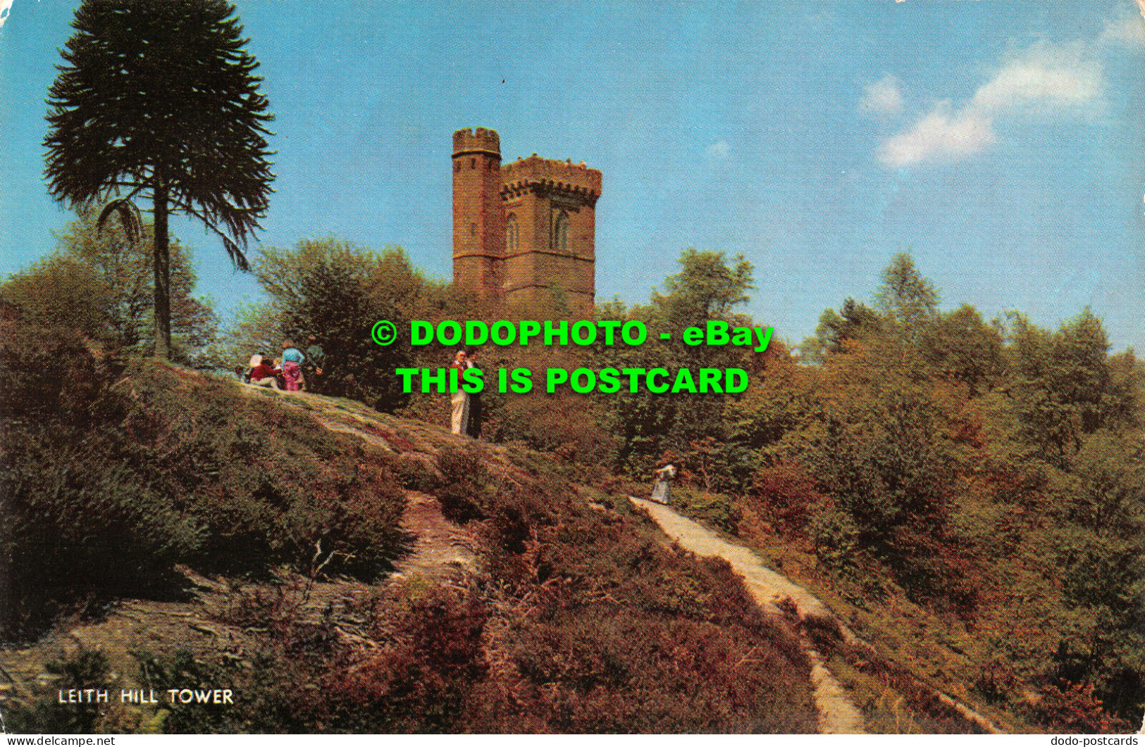 R519669 Leith Hill Tower. J. Salmon. Postcard - World