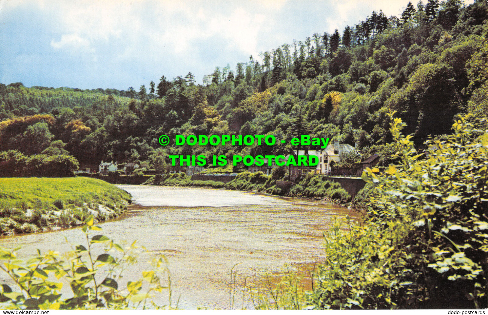 R519441 Tintern. The River Wye. Postcard - World