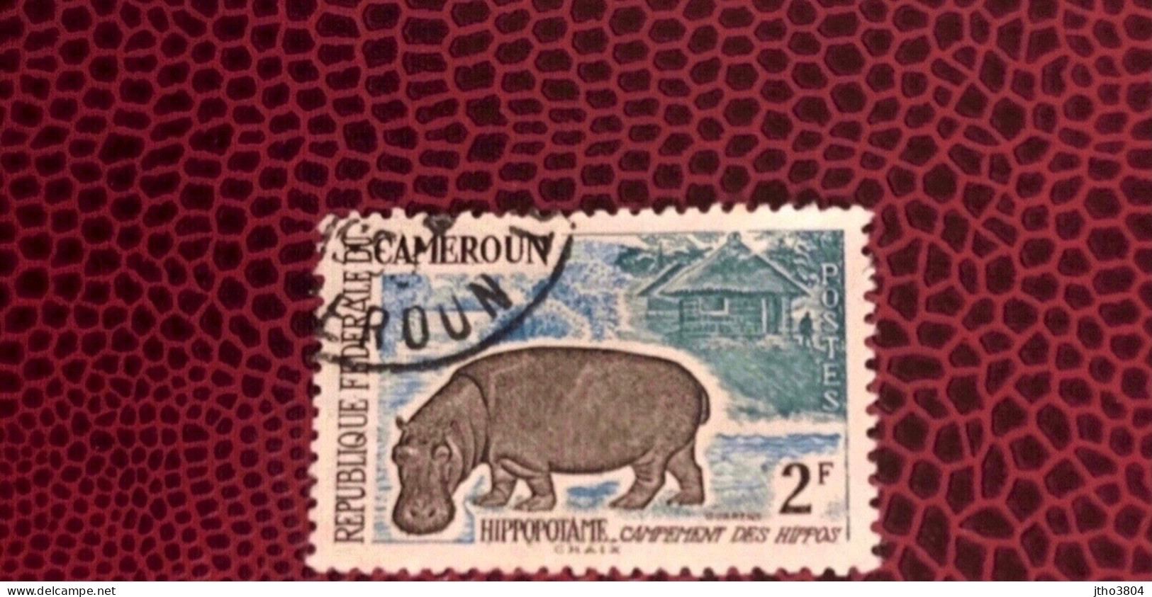 CAMEROUN 1962 1v Oblitérée YT 342 Mammifère Mammal Mamífero Saügetier CAMEROON - Sonstige & Ohne Zuordnung