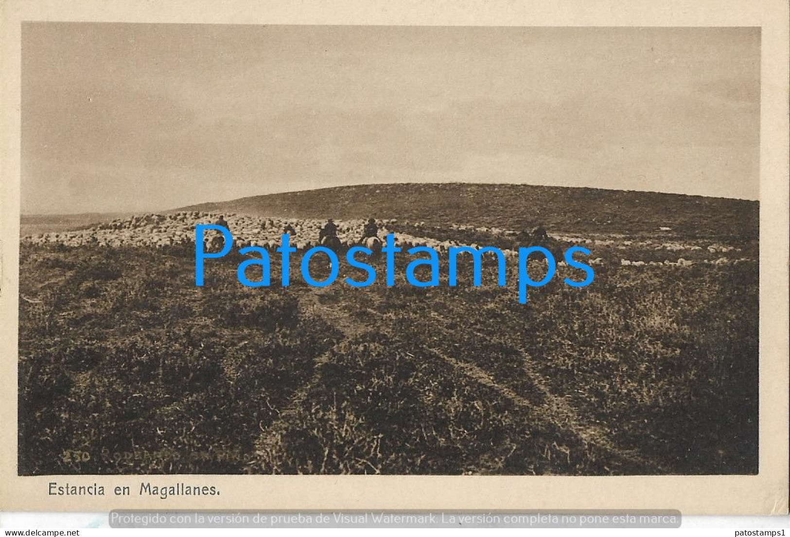 227727 CHILE MAAGALLANES ESTANCIA VISTA PARCIAL POSTAL POSTCARD - Chile