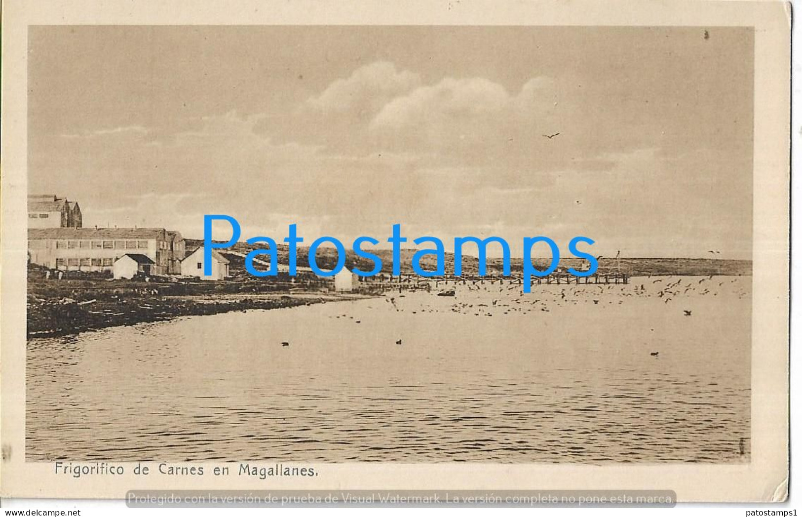 227728 CHILE MAGALLANES FRIGORIFICO DE CARNES VISTA PARCIAL POSTAL POSTCARD - Chili