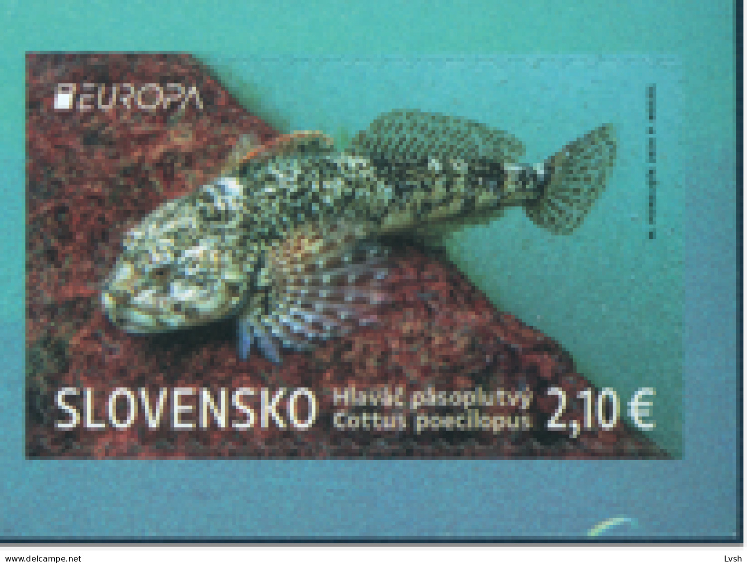 Slovakia.2024.Europa CEPT.Underwater Fauna And Flora.Alpine Bullhead (Cottus Poecilopus).1 V. From Booklet  ** . - Ungebraucht