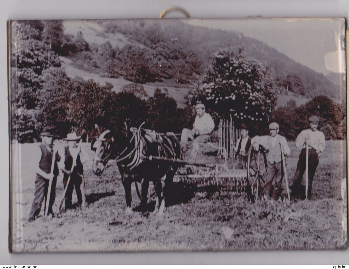 Photographie Sous Verre Scène Agricole Agriculture Matèriel Attelage De Cheval Labourage Paysan Vie Aux Champs - Beroepen