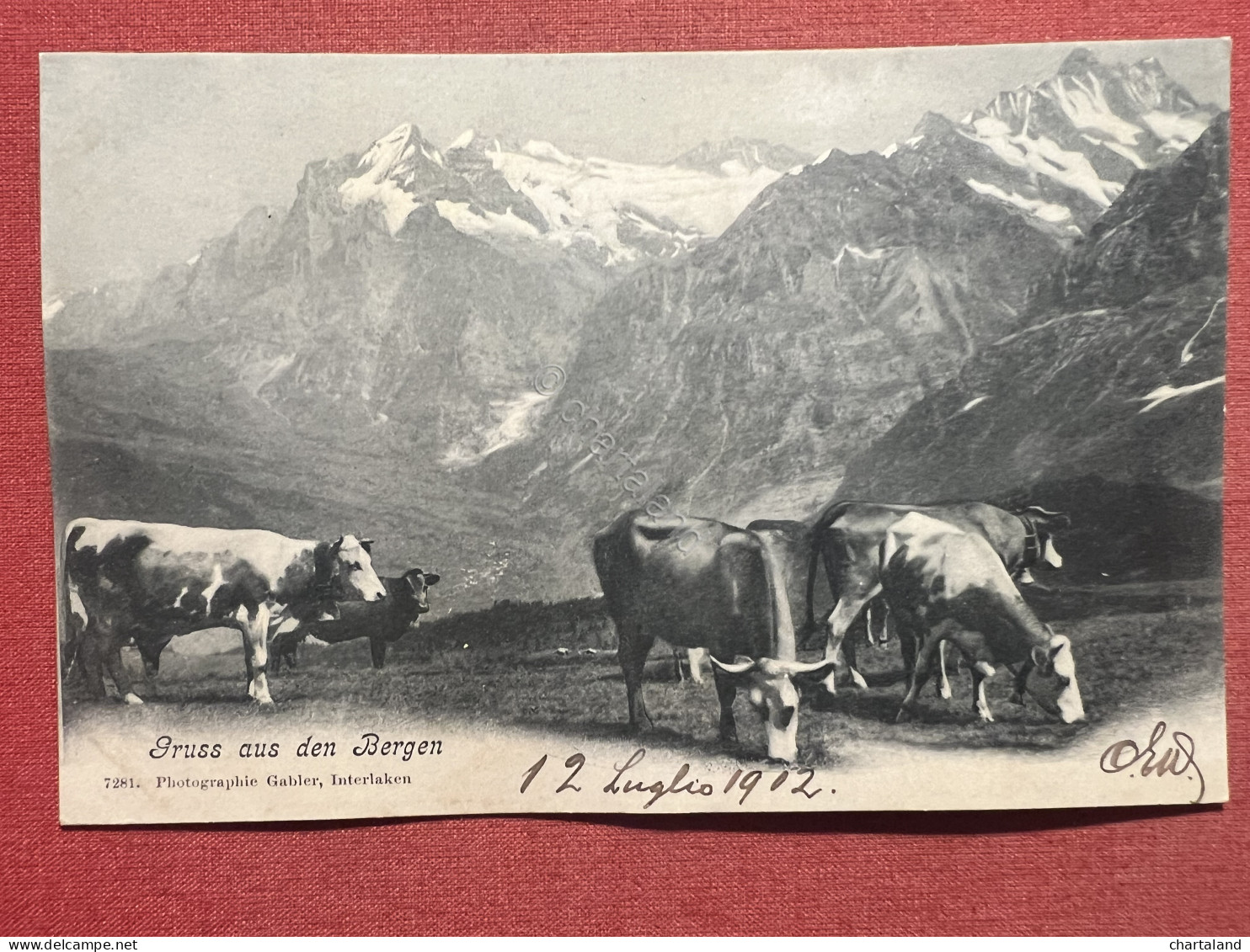 Cartolina - Norvegia - Gruss Aus Den Bergen - 1902 - Zonder Classificatie