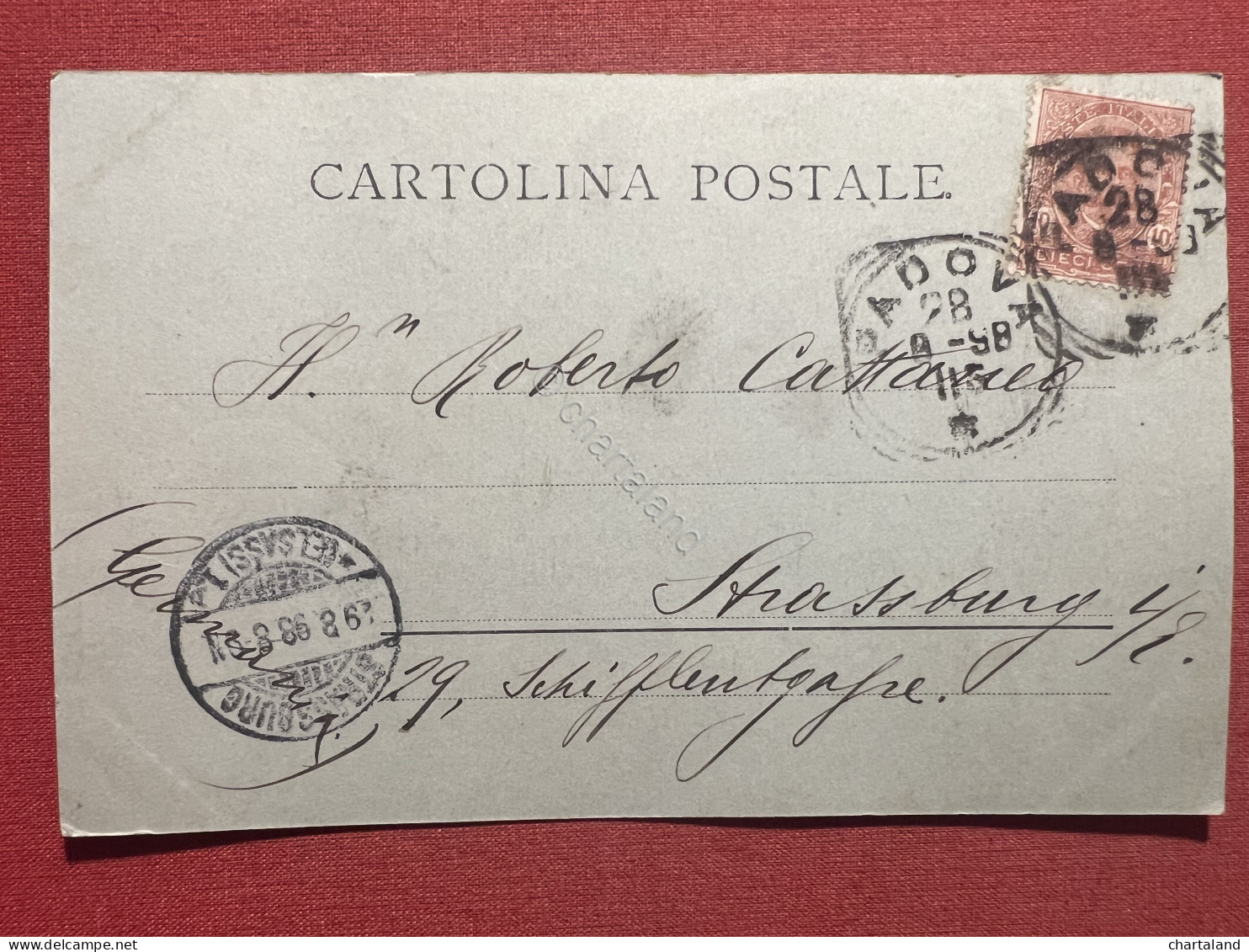 Cartolina - Padova - Sala Della Ragione - 1898 - Padova (Padua)