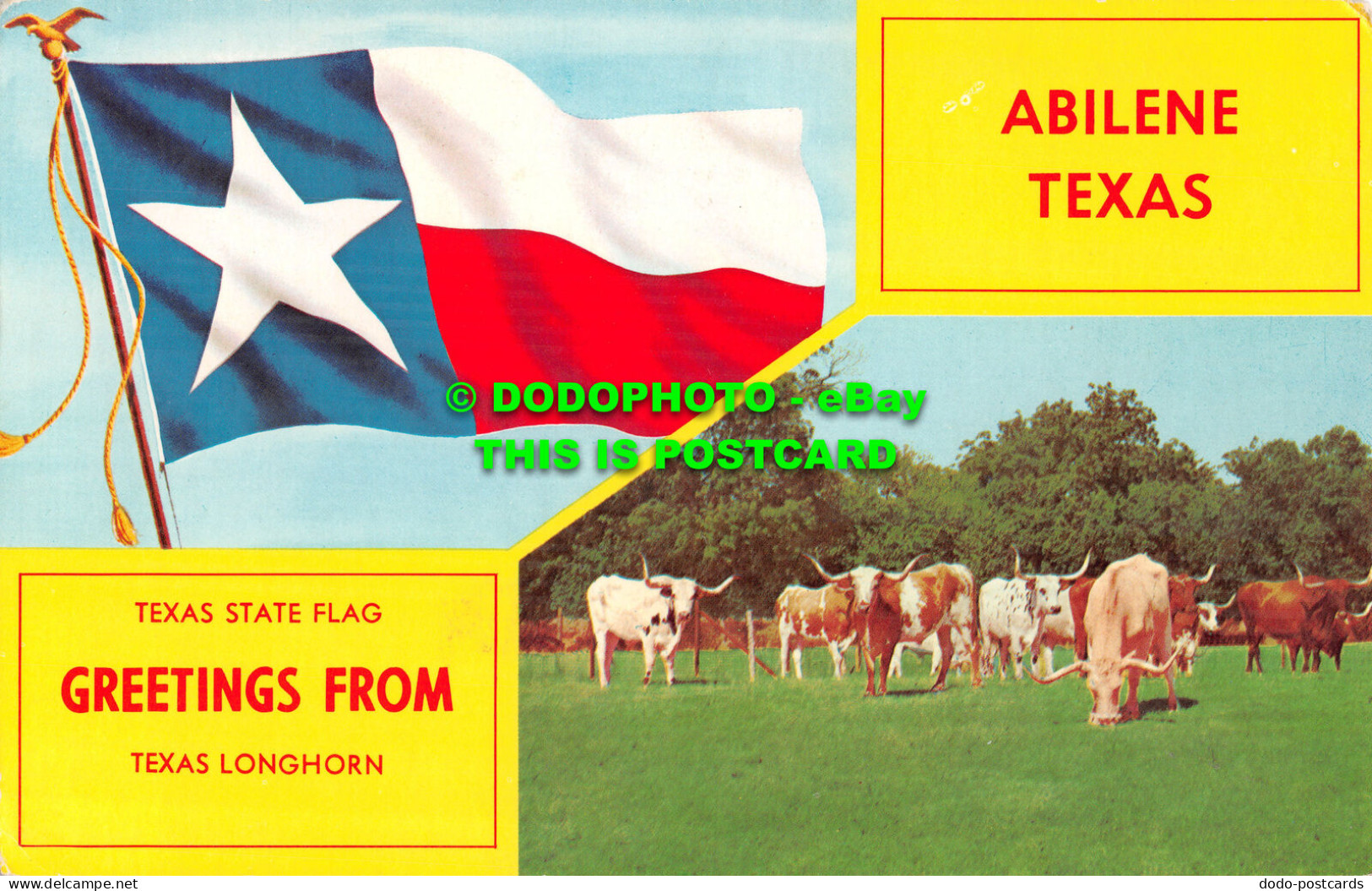 R519764 Texas State Flag. Greetings From Texas Longhorn. Abilene Texas. Walcott. - Mondo