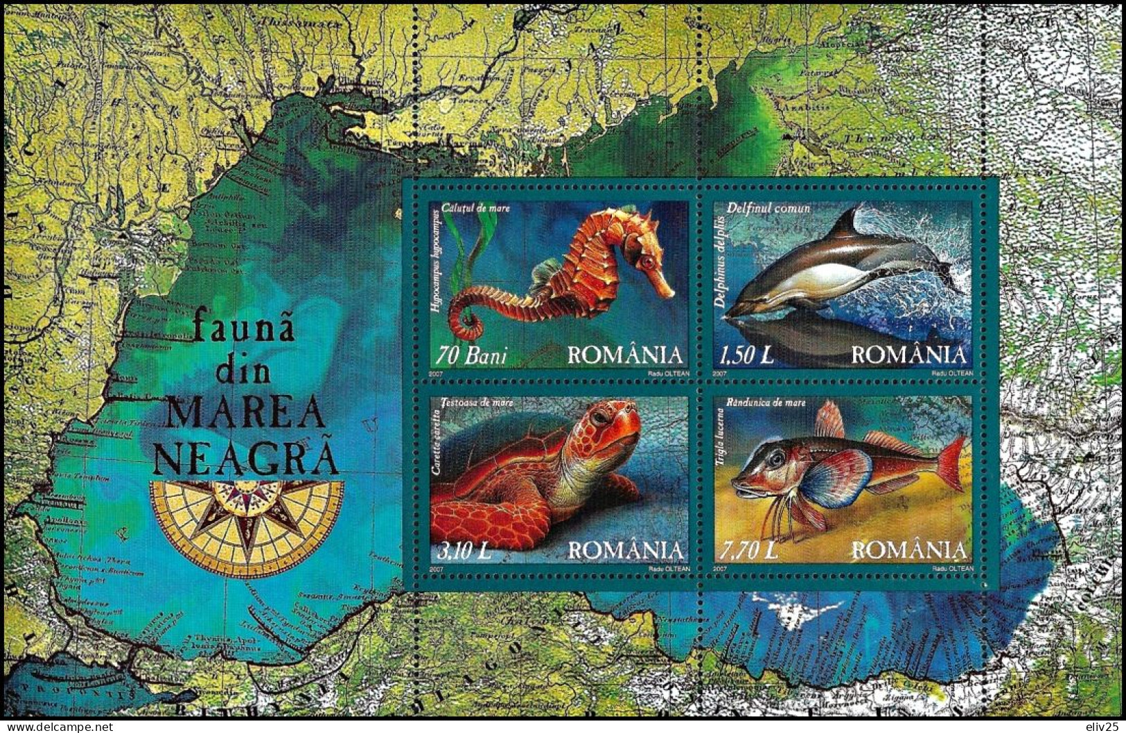 Romania 2007, Black Sea Fauna Fish Dolphin - S/s MNH - Marine Life