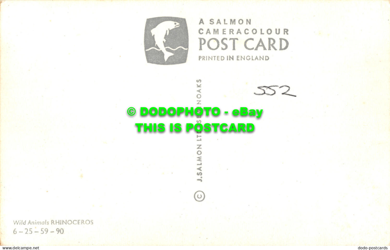 R519769 Wild Animals. Rhinoceros. J. Salmon. Postcard - Mondo