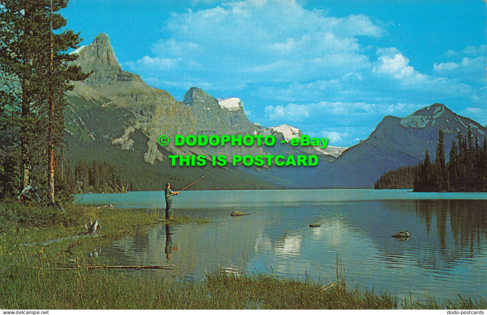 R519540 Alberta. Maligne Lake. Jasper Park. Taylorchrome Color Cards - Mondo