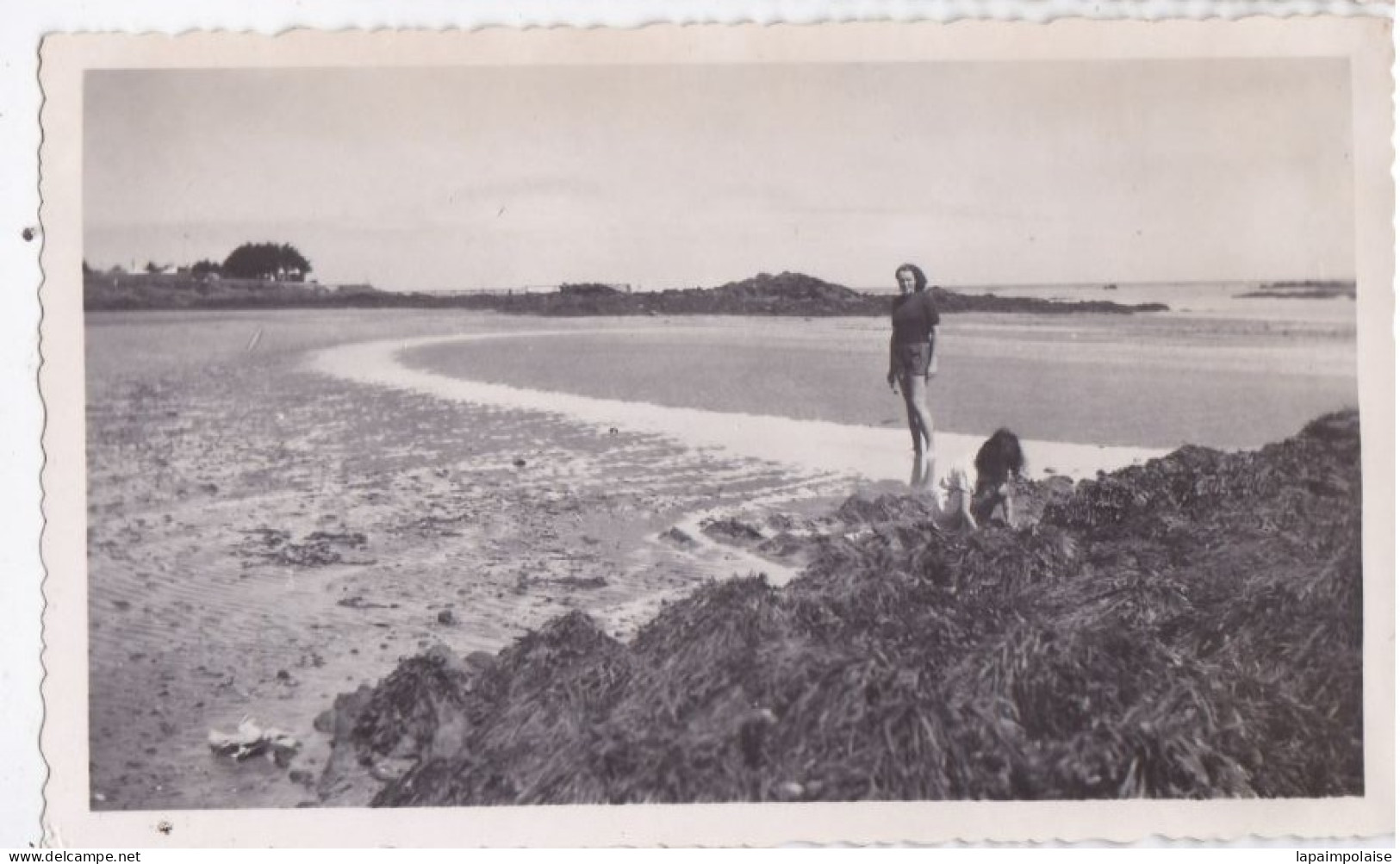 3 Photos De Particulier 1948 Vendée Ile D'Yeu Divers Vues   Réf 29827 - Luoghi