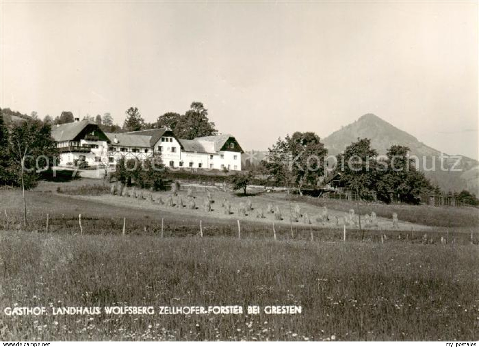 73852081 Gresten Niederoesterreich AT Gasthof Landhaus Wolfsberg Zellhofer Forst - Sonstige & Ohne Zuordnung