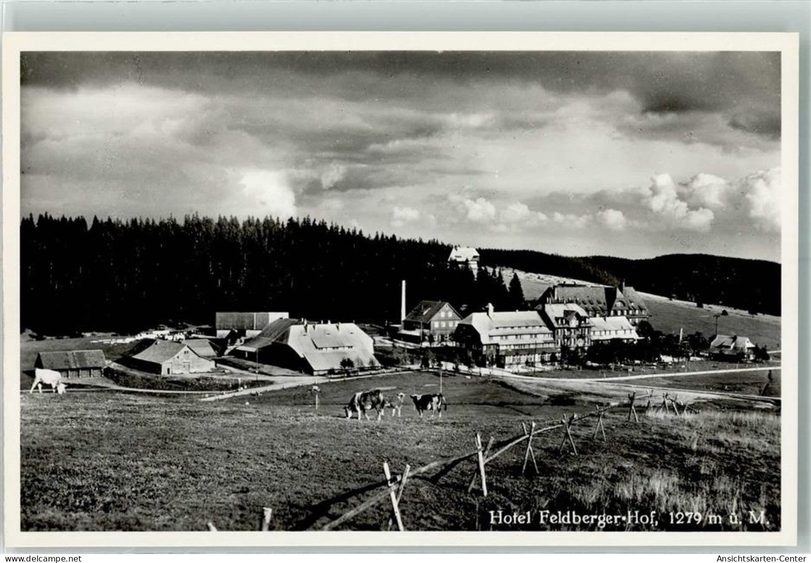 39734205 - Feldberg , Schwarzwald - Feldberg