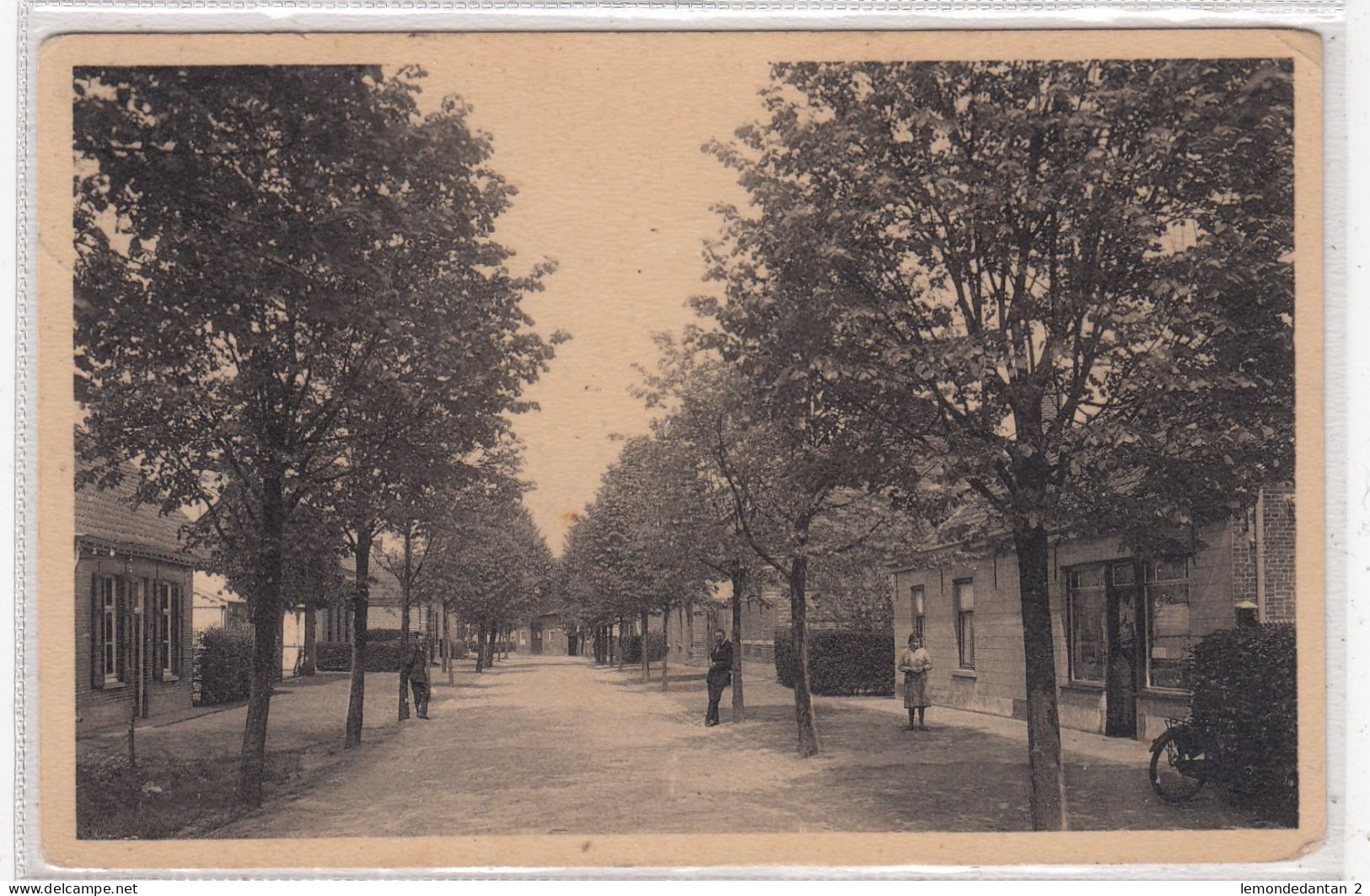 Meerseldreef. Steenweg Op Breda-Grenszicht. * - Hoogstraten