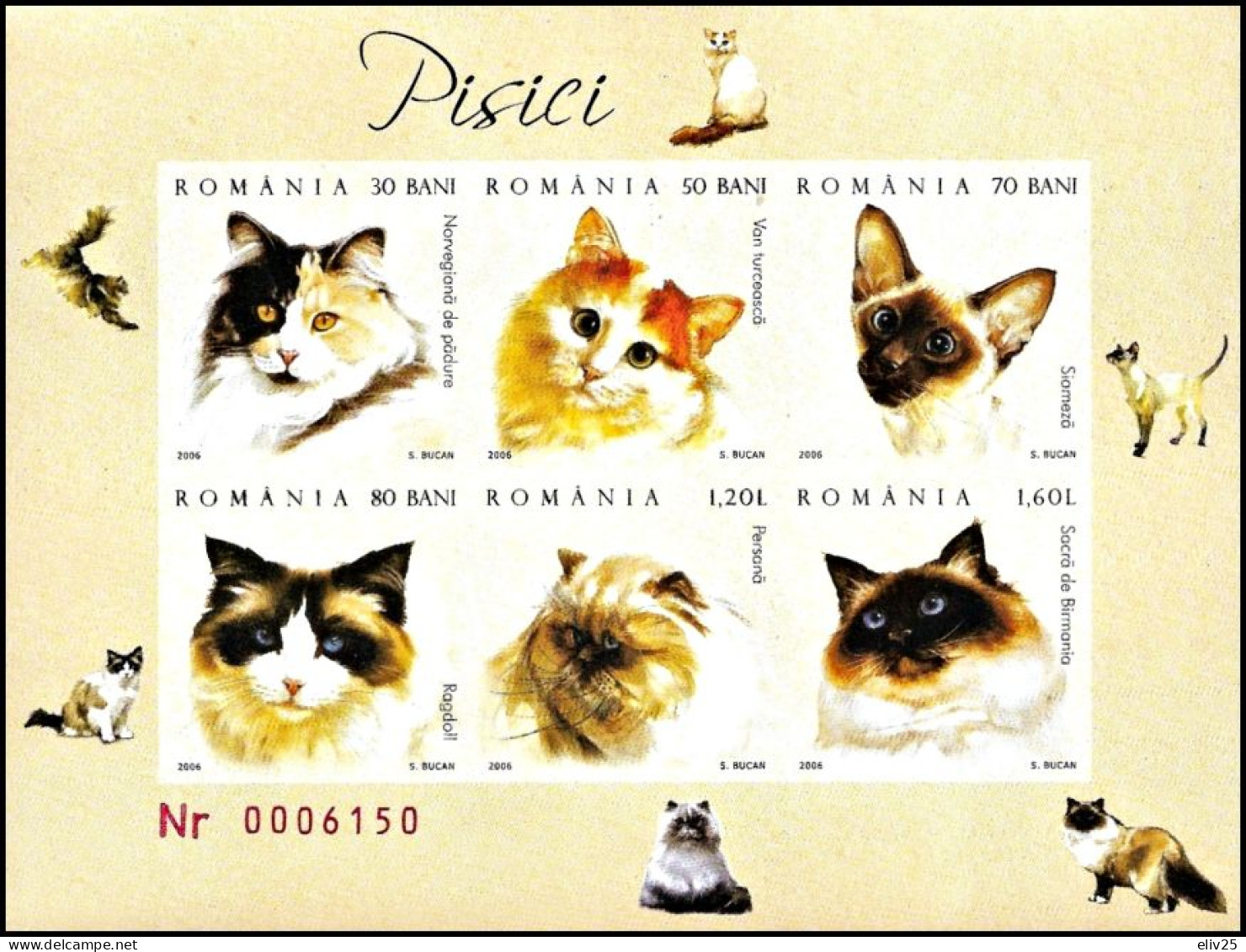 Romania 2006, Cats - Imperforate S/s MNH - Hauskatzen