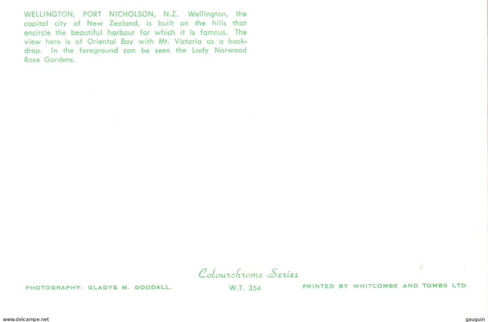 CPM - WELLINGTON - PORT NICHOLSON .... Edition Whitcombe & Tombs Ltd - Nueva Zelanda