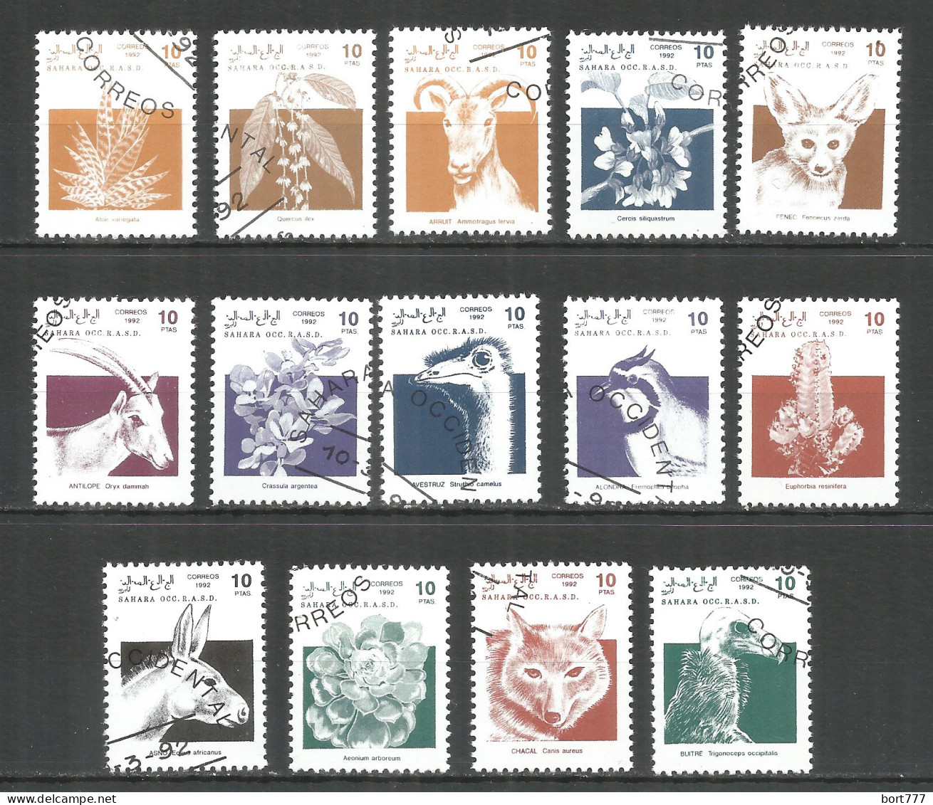 Sahara 1992 Year, Used Stamps Set Animals - Sahara Español