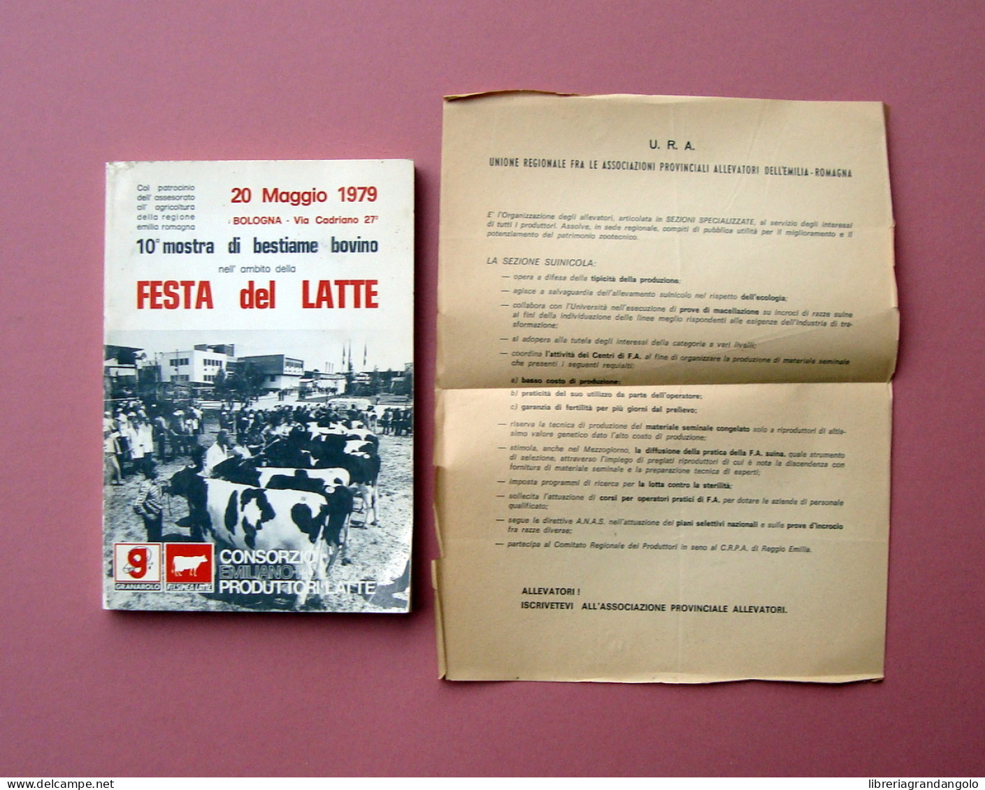 10^ Mostra Bestiame Bovino Festa Del Latte 20 Maggio 1979 Bologna - Non Classés