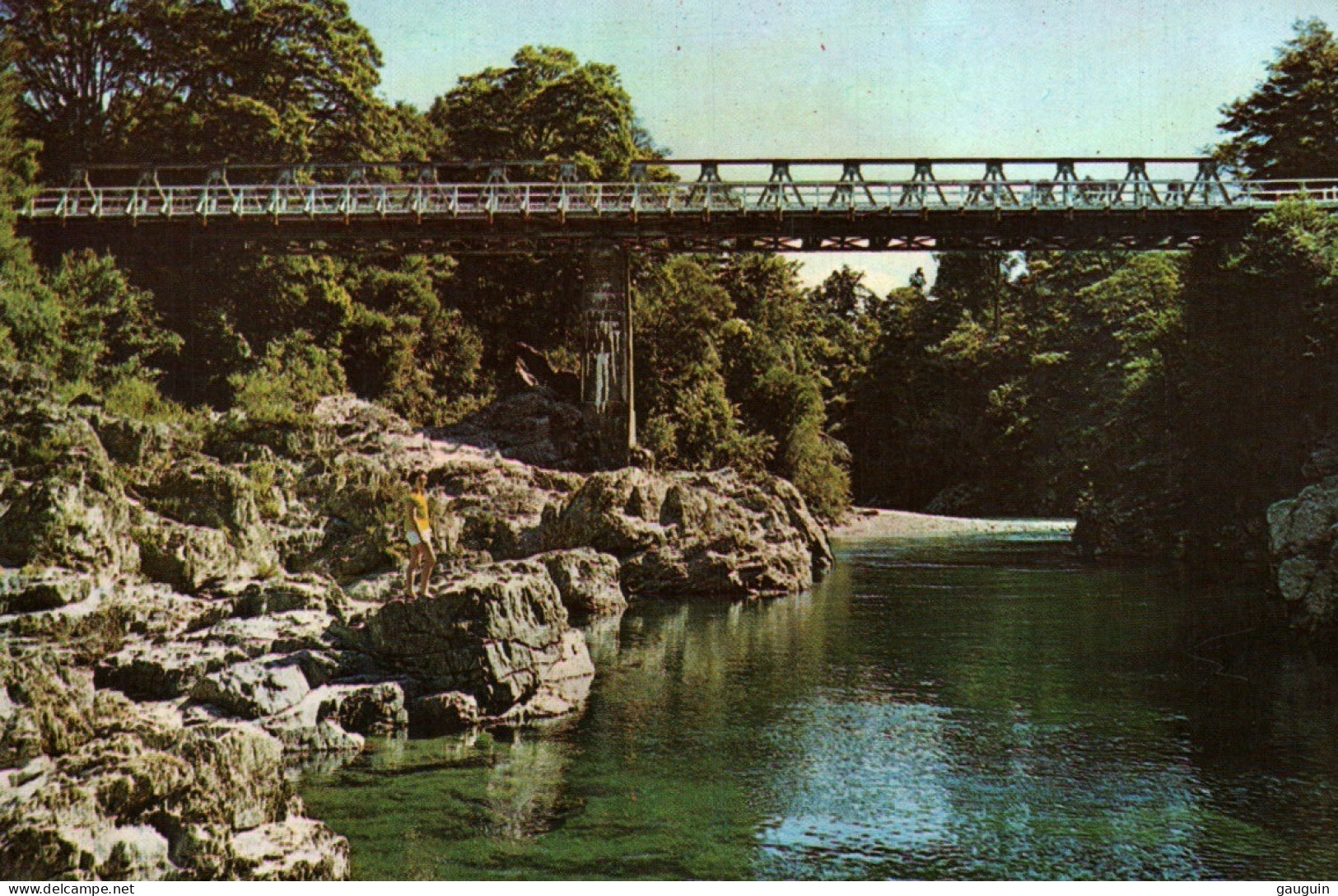 CPM - MARLBOROUGH - Pelorous Bridge .... Edition Whitcombe & Tombs Ltd - Nouvelle-Zélande