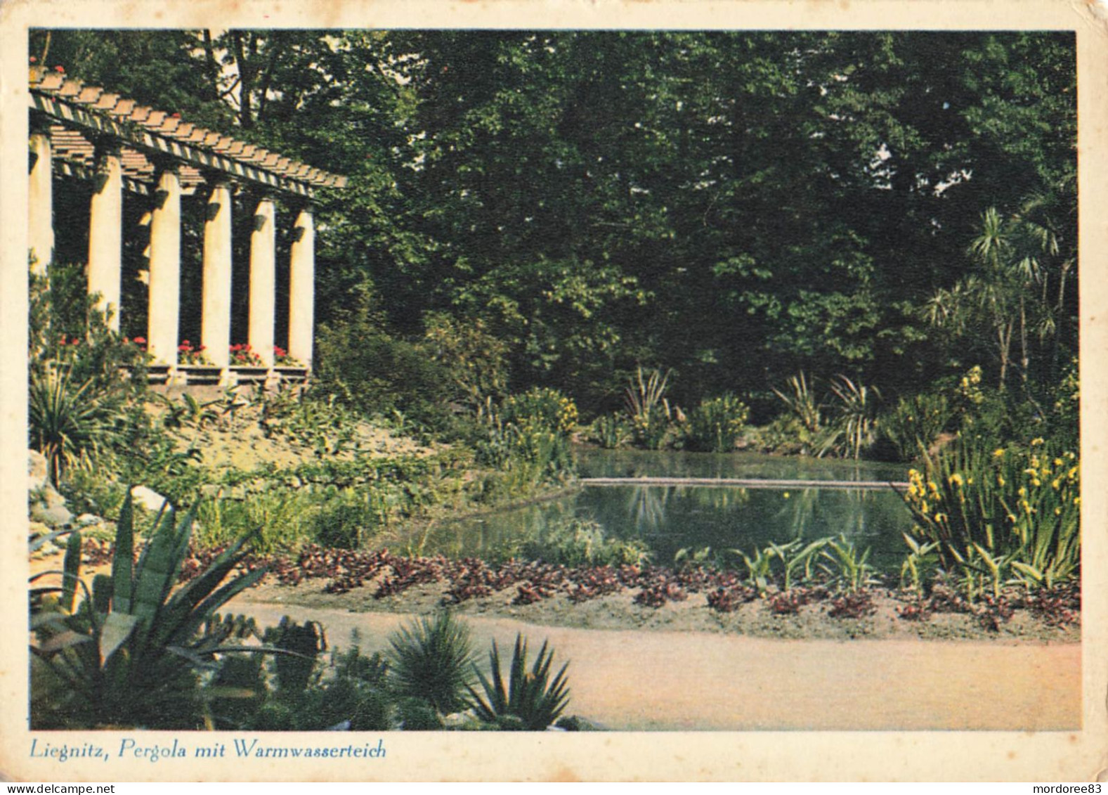 LIEGNITZ / PERGOLA MIT WARMWASSERTEICH - Poland