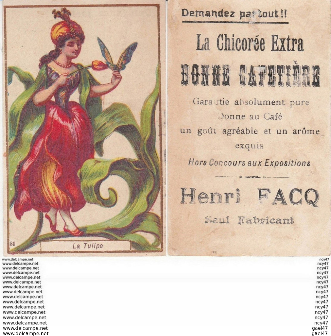 CHROMOS.Chicorée, Bonne Cafetière. H. FACQ.(Valenciennes).  Femme En Tulipe. ...Z319 - Té & Café