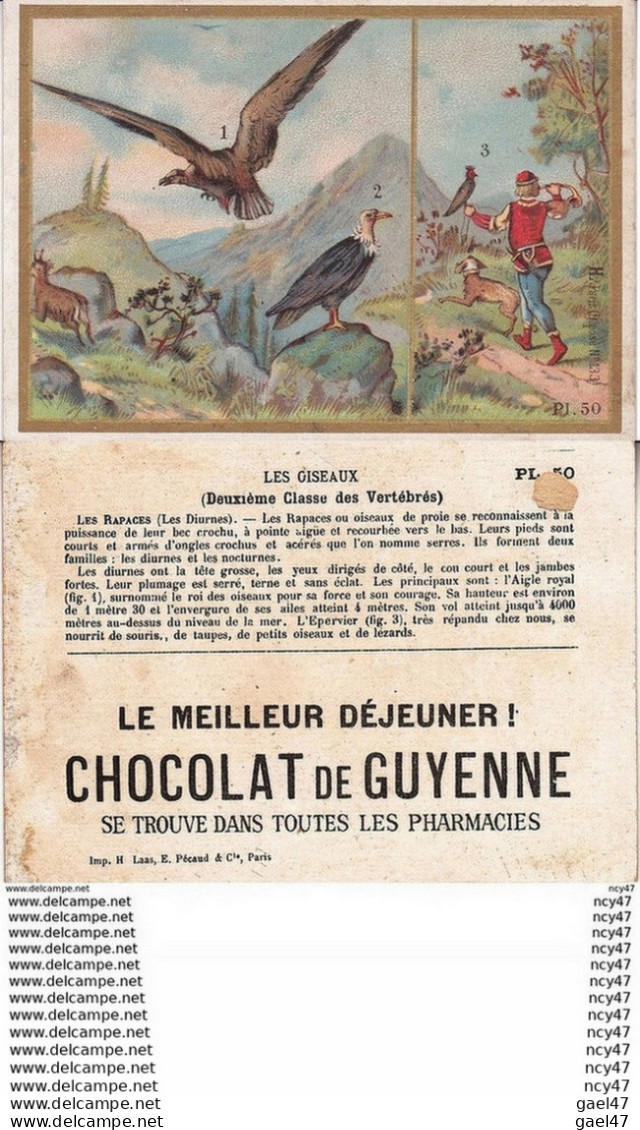 CHROMOS. Chocolat De GUYENNE.  Les Rapaces. ...Z804 - Sonstige & Ohne Zuordnung