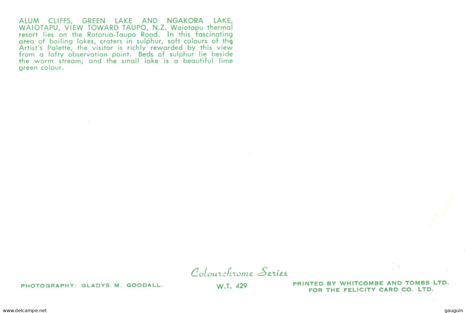 CPM - GREEN LAKE And NGAKORA LAKE .... Edition Whitcombe & Tombs Ltd - Nuova Zelanda