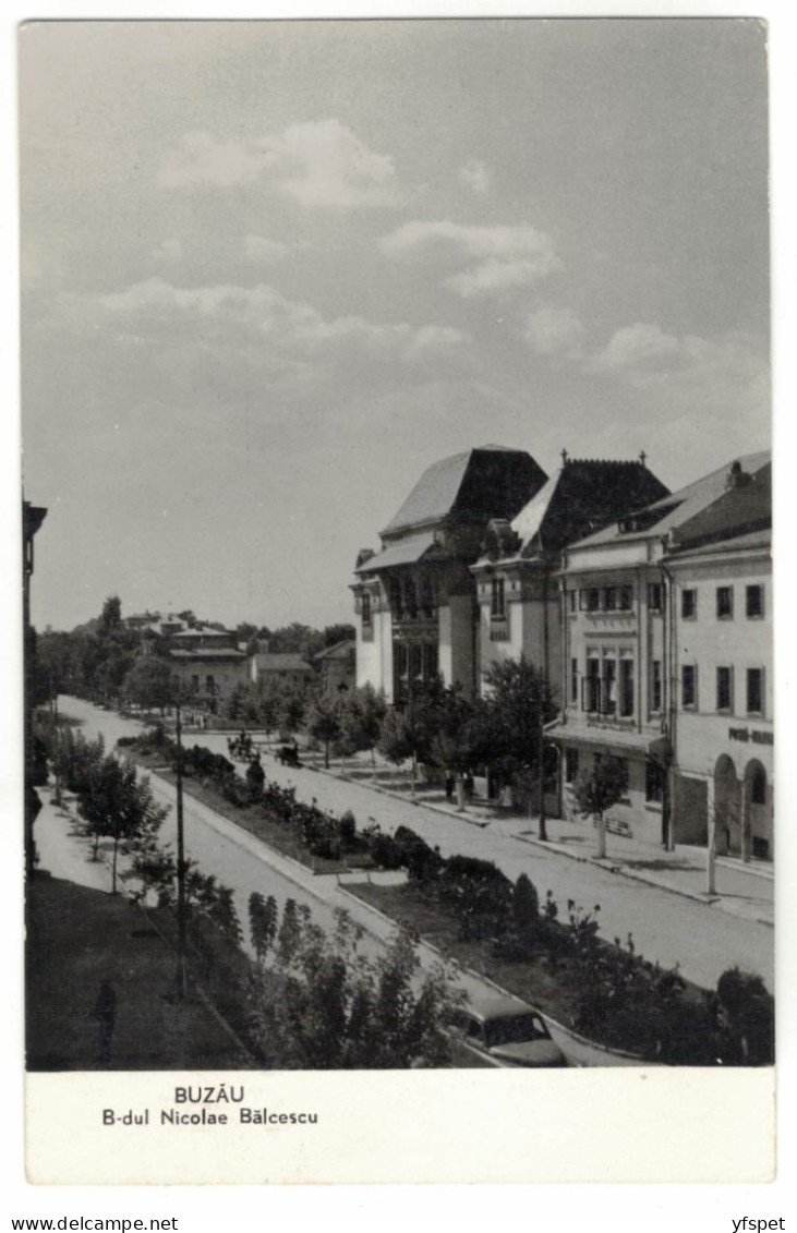 Buzău - N. Bălcescu Boulevard - Rumania