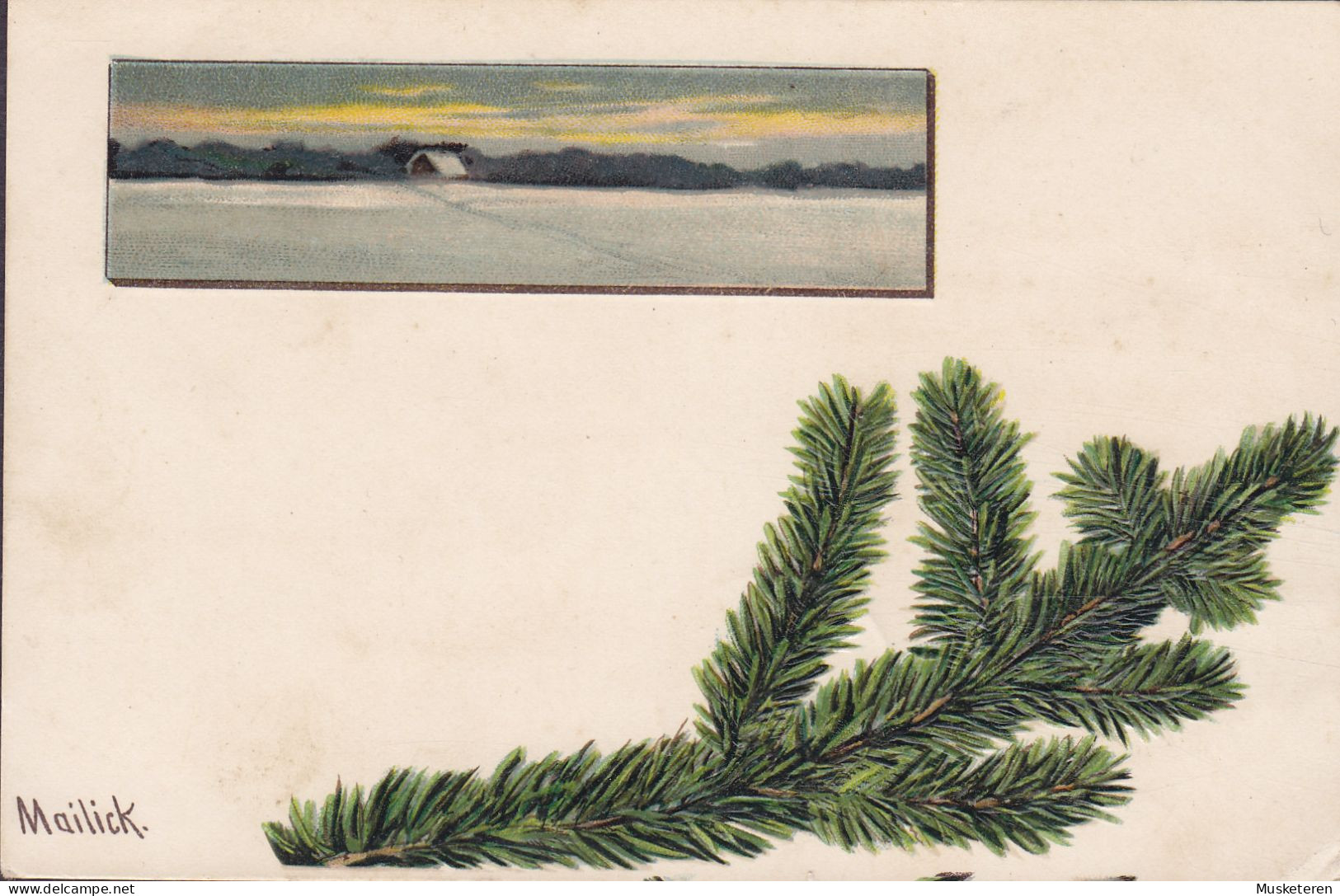 Deutsches Reich PPC Alfred Mailick : Spruce Branch Fichtenzweig Branche D’épinette APENRADE 1905 BRANDERUP Schleswig - Nordschleswig