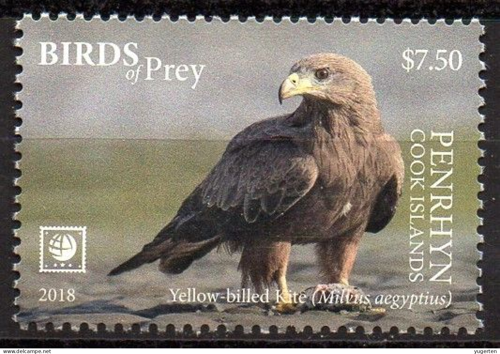 PENRHYN - 1v - MNH -  Yellow-Billed Kite - Eagle Eagles Aquila Aigle Aigles Adler - Birds - Vögel - Aguilas Aquile - Aquile & Rapaci Diurni