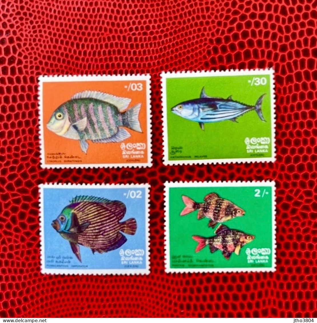 SRI LANKA CEYLAN 1972 4v Neuf MNH ** Mi 428 431 YT Pez Fish Peixe Fisch Pesce Poisson CEYLON - Fishes