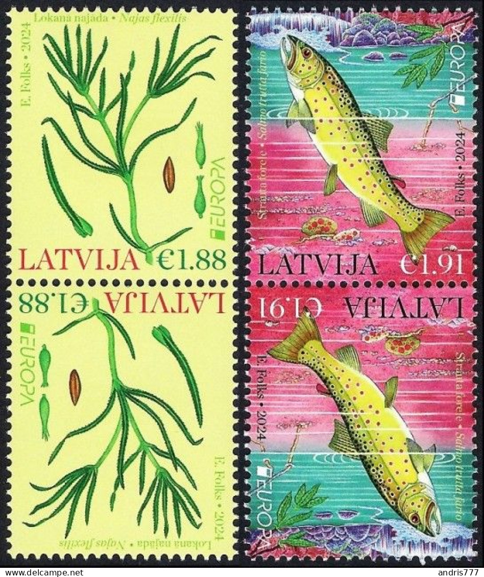 Latvia Lettland Lettonie 2024 (07) Europa - Underwater Flora And Fauna - Fish - Trout (t-b Pairs) - Letland