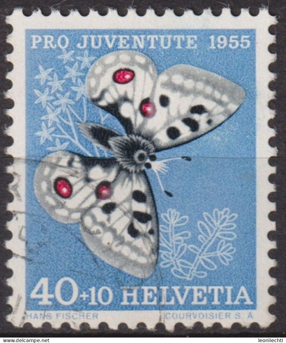1955 Schweiz Pro Juventute ° Zum:CH J162,Yt:CH 571, Mi:CH 622, Apollo, Schmetterling, Insekten - Gebruikt