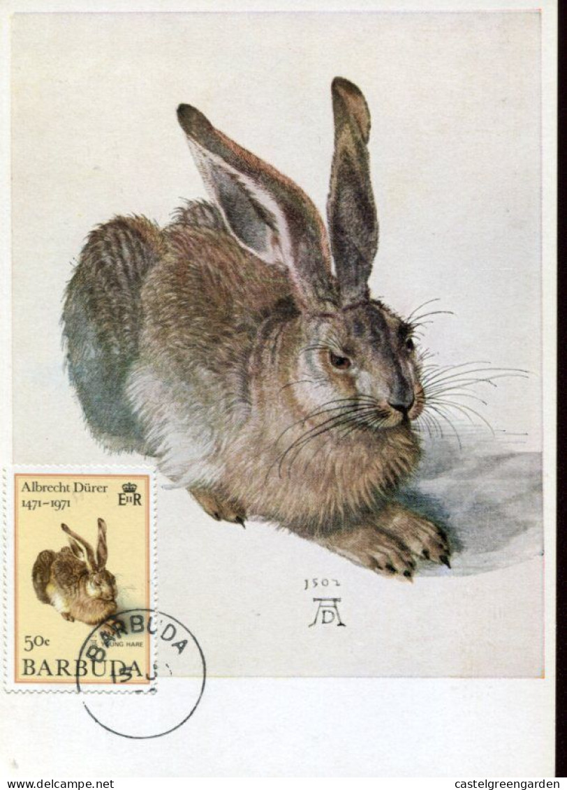 X224 Barbuda, Maximum 1972, Painting Of Albrecht Durer, Der Hase, The Hare  Le Lievre - Autres & Non Classés