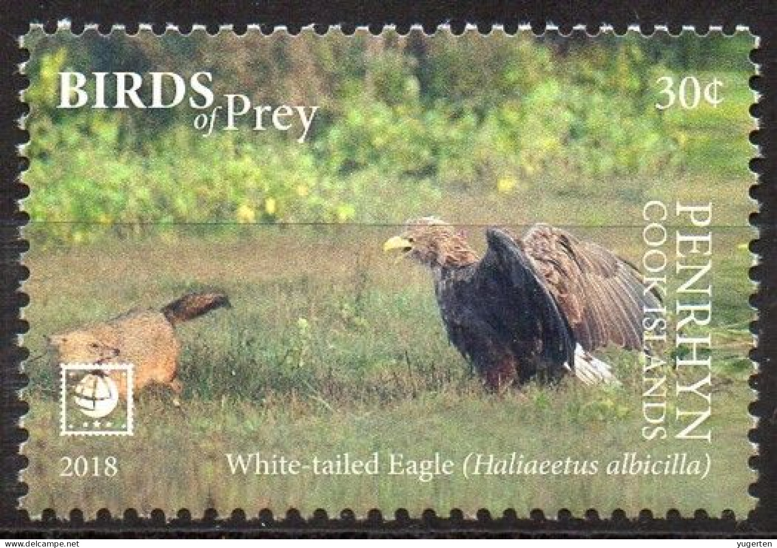 PENRHYN - 1v - MNH -  White-tailed Eagle - Eagle Eagles Aquila Aigle Aigles Adler - Birds - Vögel - Aguilas Aquile - Eagles & Birds Of Prey