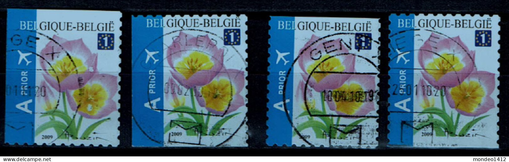 België OBP 3872 - Flowers - Tulipa Bakeri - Self-Adhesive Stamp From Booklet Complete - Oblitérés