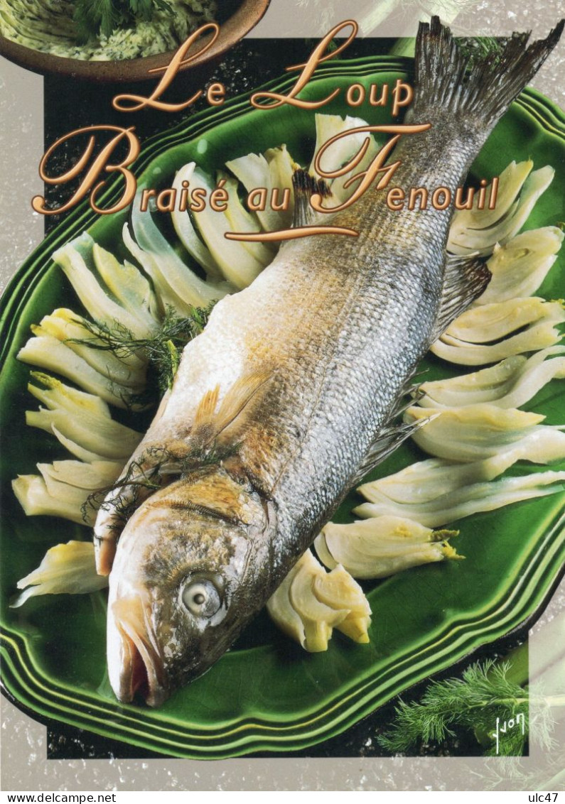 - Recette  Le Loup Braisé Au Fenouil - Recette Au Dos  - Photo: Leser/Free Lance - Format: 17 X12 Cm - Scan Verso - - Recipes (cooking)