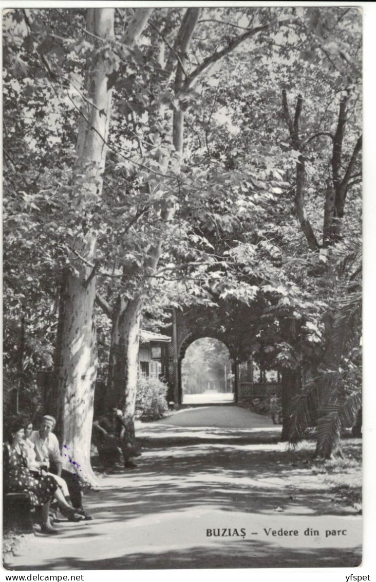 Buziaș Health Resort - View Of The Park - Rumania